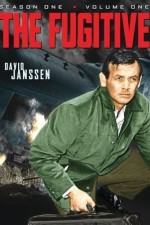 Watch The Fugitive 9Movies
